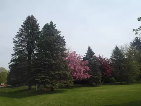 2382 Weber Dr, Dexter, MI 48130 photo 5