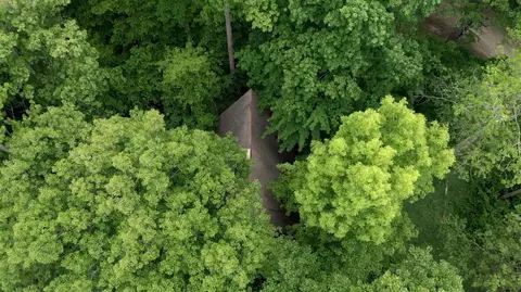 2485 Morrison Dr, Dexter, MI 48130 photo 18