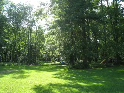 10120 Bunton Rd, Willis, MI 48191 photo 38
