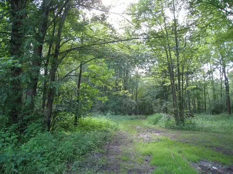 10120 Bunton Rd, Willis, MI 48191 photo 36