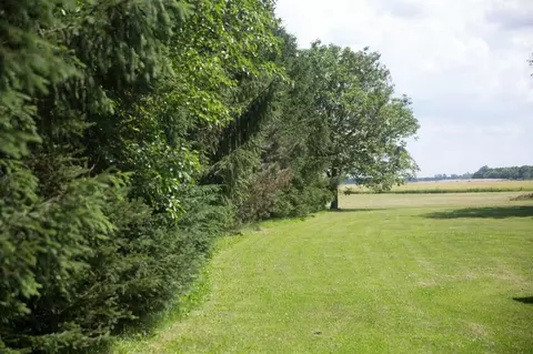 14103 Ostrander Rd, Maybee, MI 48159 photo 5