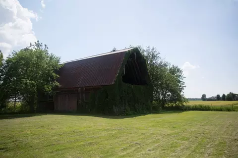14103 Ostrander Rd, Maybee, MI 48159 photo 30
