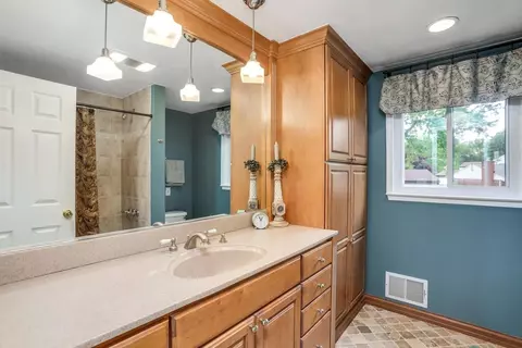 347 Willis, Saline, MI 48176 photo 19