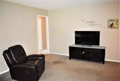 1109 Jane St, Tecumseh, MI 49286 photo 11