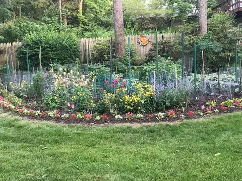 2204 Devonshire Rd, Ann Arbor, MI 48104 photo 65
