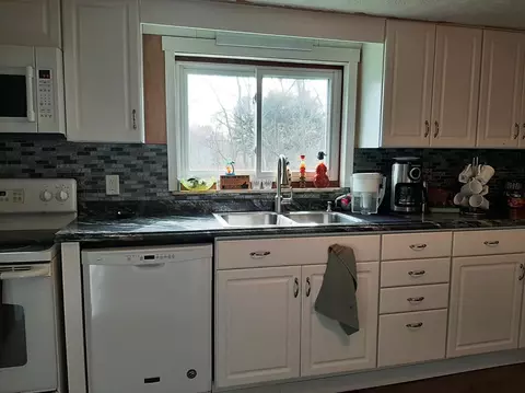 18950 Doyle Rd, Gregory, MI 48137 photo 28