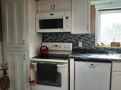 18950 Doyle Rd, Gregory, MI 48137 photo 27