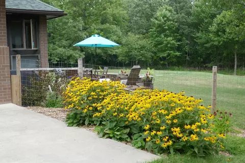 2175 E Joy Rd, Ann Arbor, MI 48105 photo 44