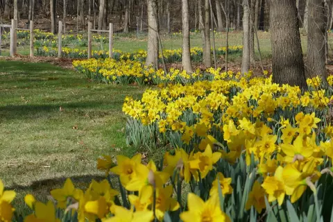 2175 E Joy Rd, Ann Arbor, MI 48105 photo 47