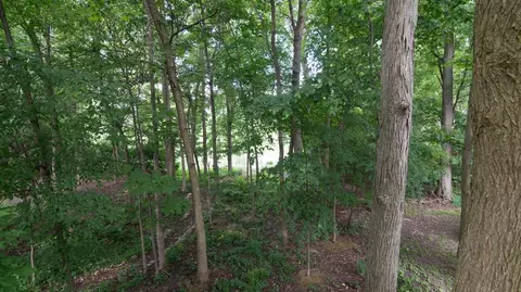 2056 Chestnut Cres, Saline, MI 48176 photo 18
