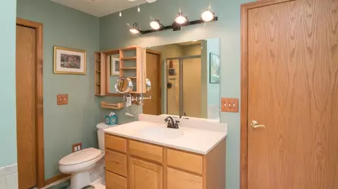 2056 Chestnut Cres, Saline, MI 48176 photo 39