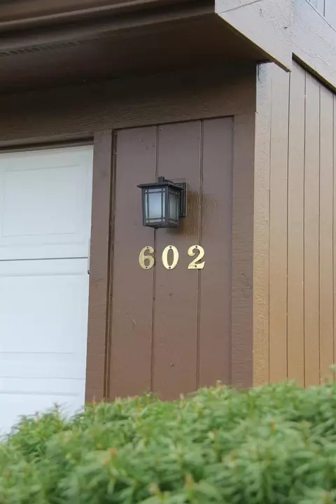 602 Echo Ct, Saline, MI 48176 photo 39