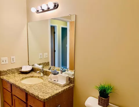 3161 Eagle Ct, Ann Arbor, MI 48105 photo 22