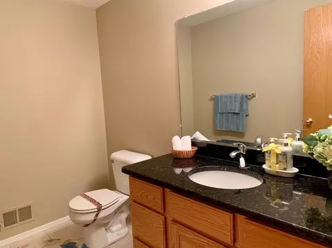 3161 Eagle Ct, Ann Arbor, MI 48105 photo 18
