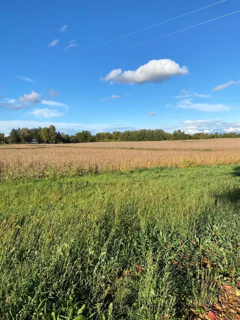 2245 Hack Rd, Milan, MI 48160 photo 26
