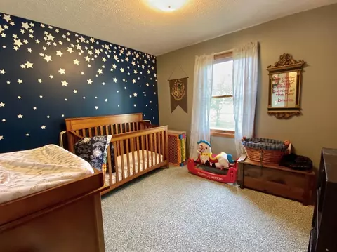 125 E Newburg Rd, Carleton, MI 48117 photo 21