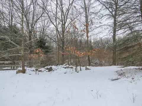 8065 Donovan Rd, Dexter, MI 48130 photo 52