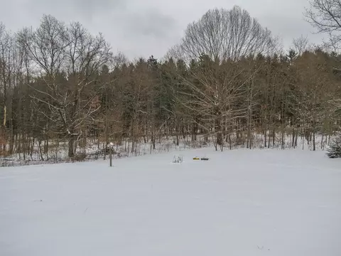 8065 Donovan Rd, Dexter, MI 48130 photo 55