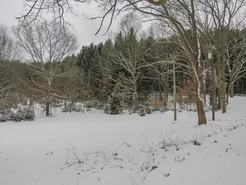 8065 Donovan Rd, Dexter, MI 48130 photo 53
