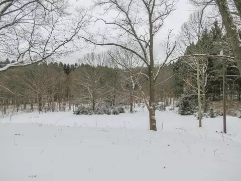 8065 Donovan Rd, Dexter, MI 48130 photo 54