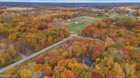 12695 Eggert Rd, Dundee, MI 48131 photo 14