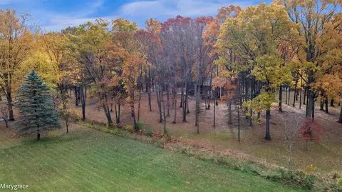 12695 Eggert Rd, Dundee, MI 48131 photo 4