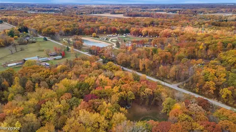 12695 Eggert Rd, Dundee, MI 48131 photo 8
