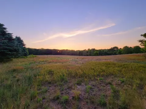 12870 Hadley Rd, Gregory, MI 48137 photo 35