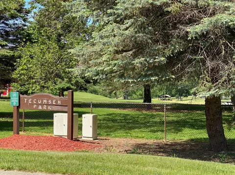 505 Orchard Ln, Tecumseh, MI 49286 photo 28