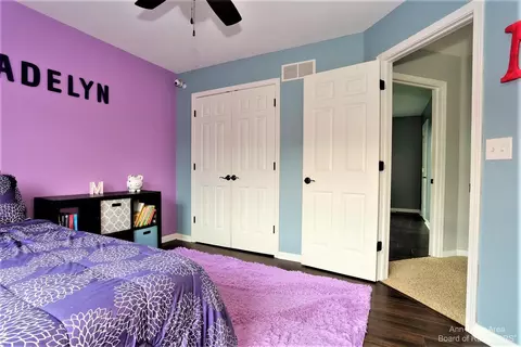 839 Stetson St, Tecumseh, MI 49286 photo 15