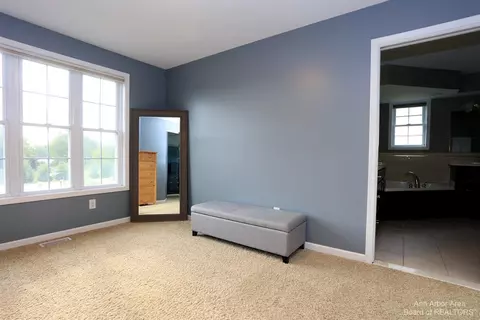 839 Stetson St, Tecumseh, MI 49286 photo 29