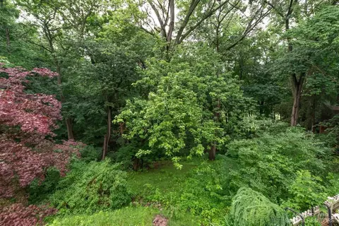 14 Ridgeway St, Ann Arbor, MI 48104 photo 70