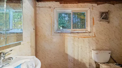 485 Ballard Rd, Jackson, MI 49201 photo 29