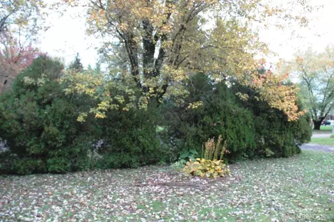 39125 Chase St, Romulus, MI 48174 photo 33