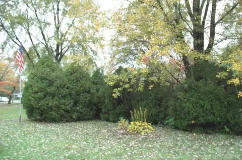 39125 Chase St, Romulus, MI 48174 photo 32