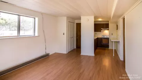 7626 Forest St, Dexter, MI 48130 photo 60
