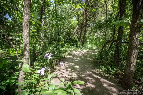 2150 Baker Rd, Dexter, MI 48130 photo 42
