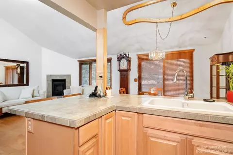 546 Echo Ct, Saline, MI 48176 photo 20