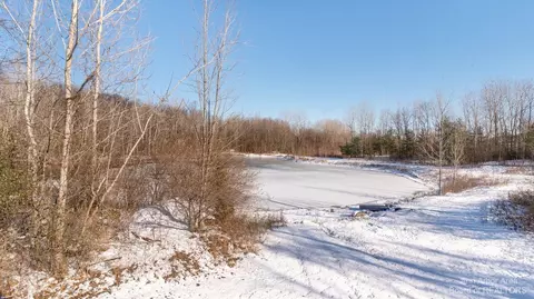 7396 Monarch Dr, Spring Arbor, MI 49283 photo 39