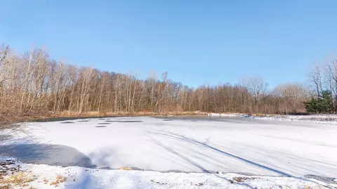 7396 Monarch Dr, Spring Arbor, MI 49283 photo 40