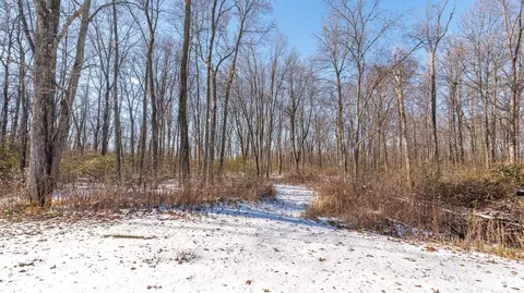 7396 Monarch Dr, Spring Arbor, MI 49283 photo 34
