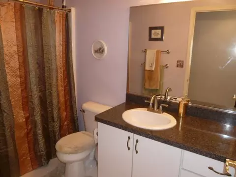 4855 Holly Way, Ann Arbor, MI 48103 photo 24