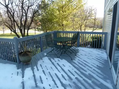 4855 Holly Way, Ann Arbor, MI 48103 photo 34