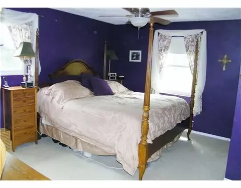 706 Spring St, Tecumseh, MI 49286 photo 16