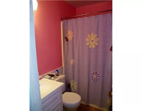706 Spring St, Tecumseh, MI 49286 photo 18