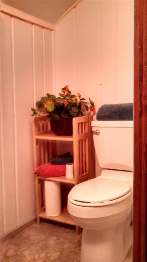 13936 Aberdeen Ln, Dexter, MI 48137 photo 24