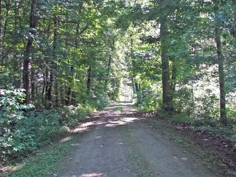 8433 Talladay Rd, Whittaker, MI 48190 photo 2