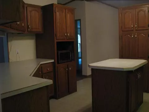 8433 Talladay Rd, Whittaker, MI 48190 photo 7