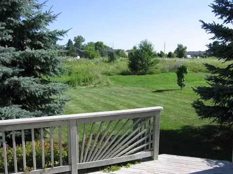 311 Cambridge Dr, Dexter, MI 48130 photo 23
