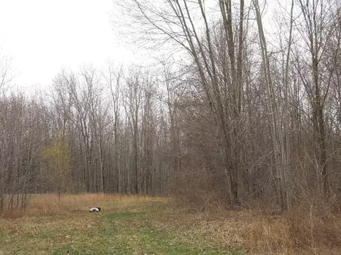 8660 Talladay Rd, Whittaker, MI 48190 photo 26